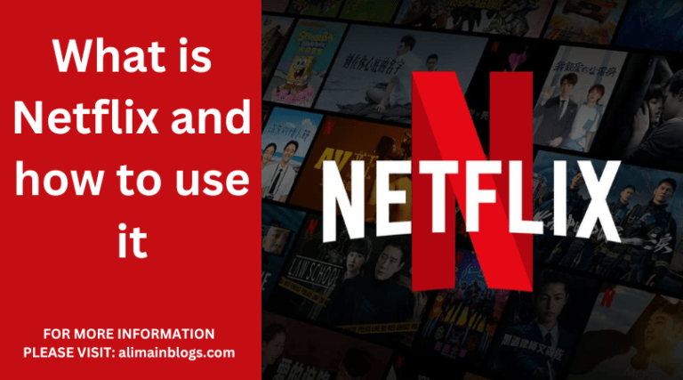 What is Netflix and how to use it