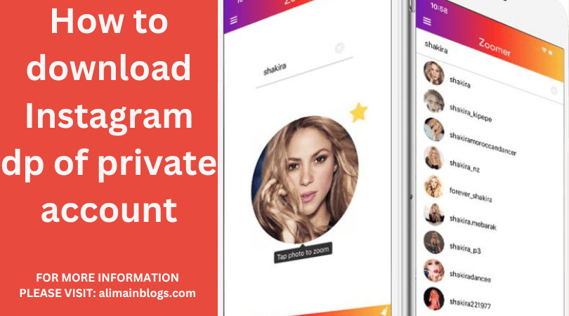 How to download Instagram dp of private account